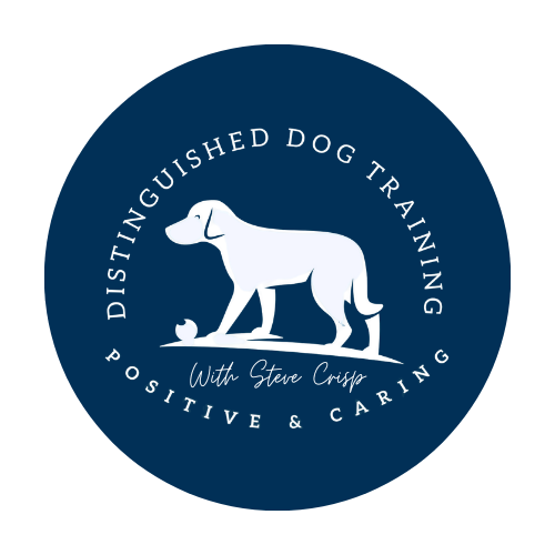 Distinguished Dog Training main logo showing "Positive & Caring" with 'Steve Crisp'
