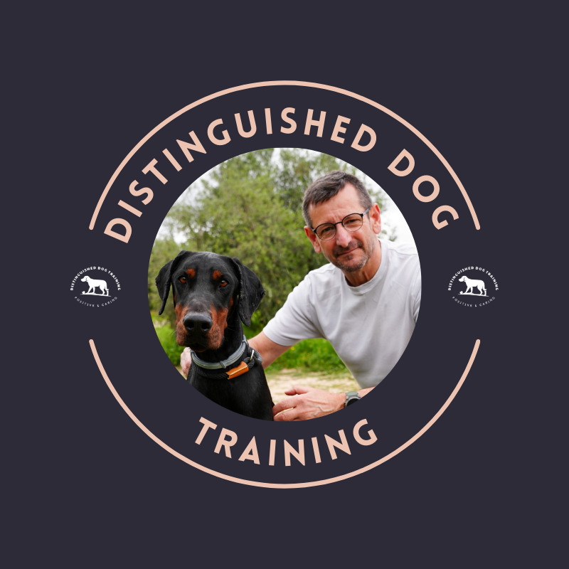 Distinguished Dog Training 2nd Logo